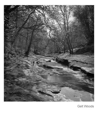 Mamiya RZ, Sekor 65mm lens, Ilford Delta 100