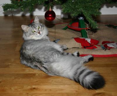 Xmas time