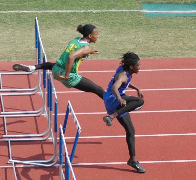 110 Meter HH