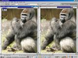 Before_after_FLEXSharp3.jpg