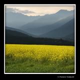 La Balagne