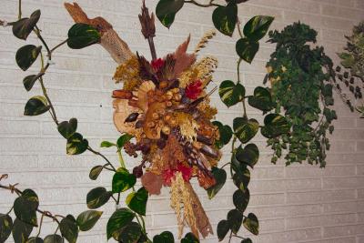 Dryed  Flower's.