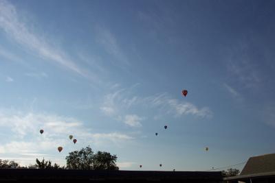 Montrose Baloons