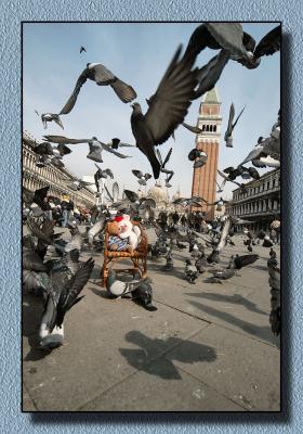 Pigeons and bears