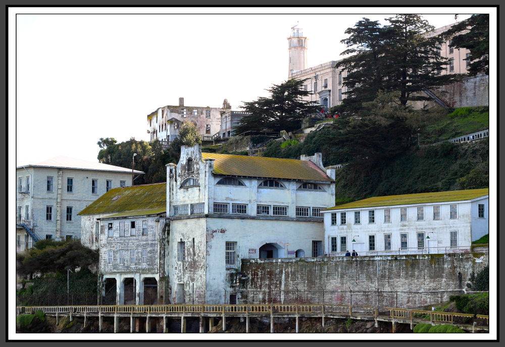 Alcatraz Island