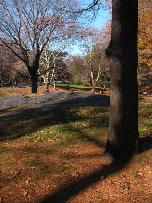 central park