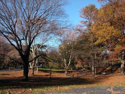 central park