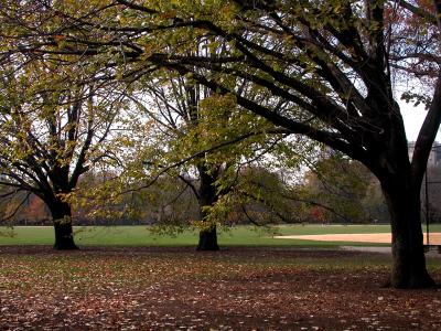 central park