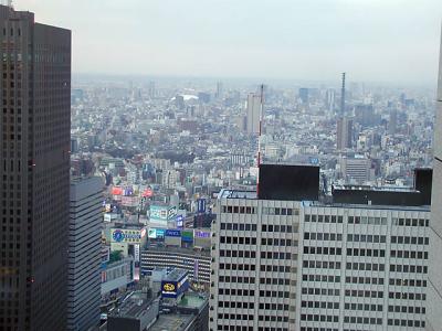 view of Tokyo from Gov't building