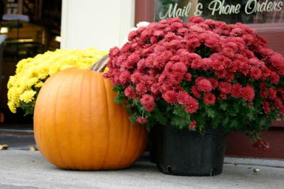 IMG_1333.jpg