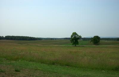 Looking across battlefield