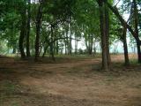 2002-07-035.JPG