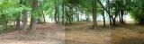 2002-07-Wide-D.jpg