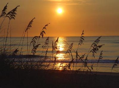 Outerbanks Sunrise 8-02.jpg