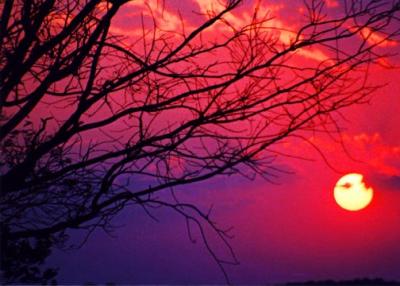 Sunset in Palmyra.jpg