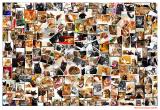 Collage of My Cats