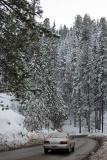 Snow 8