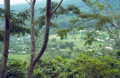 03-25-Outlook from Mount Vaea