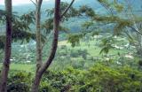 03-25-Outlook from Mount Vaea