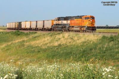 BNSF 9895 At Old Tampa