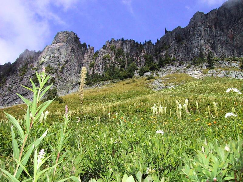 Yellowstone Cliffs