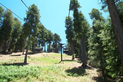 Sky Lift Ride To Top Of Mt Lemmon at 9150 ft