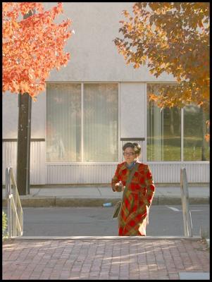 Autumn Camouflage