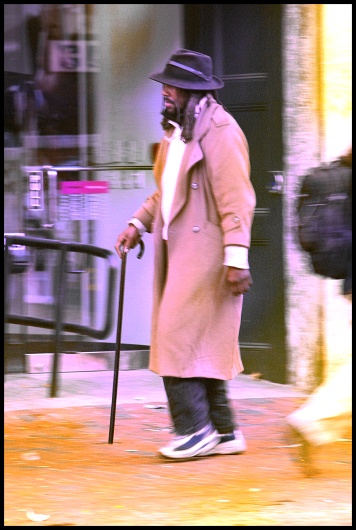 Cane