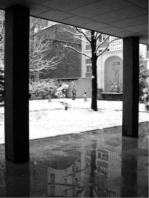 piliers_arbre_neige_pbase.jpg