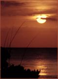 Peaceful sunset