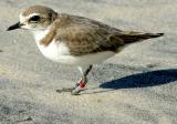 IMG_4557 coast.jpg
