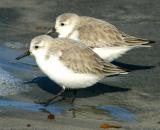 IMG_4951 coast.jpg