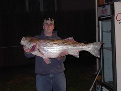 Kevin Muller got this 47, 37 lb. at Gum Thickets 12-5-04