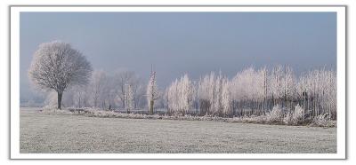 IMG_0418