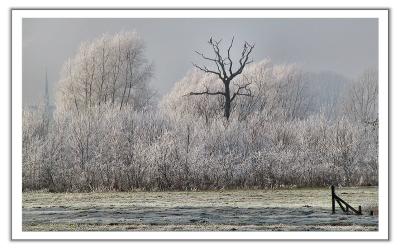 IMG_0466