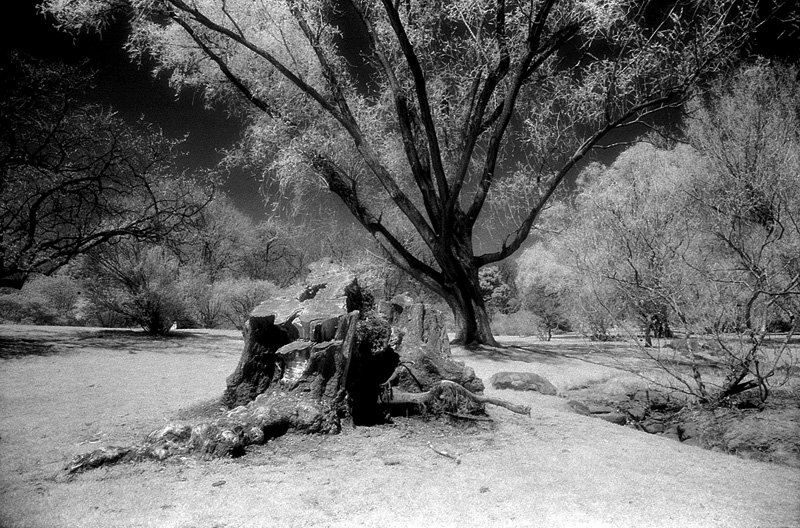 File0115e.jpg
