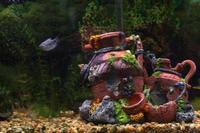January 3, 2005: Aquarium Ornament
