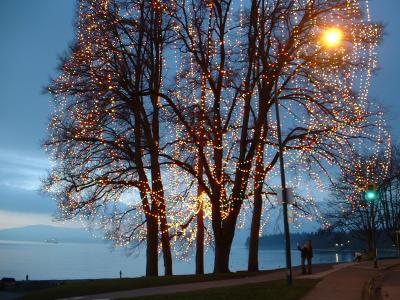 u12/hoangt/medium/38151794.ChristmasatEnglishBay.jpg