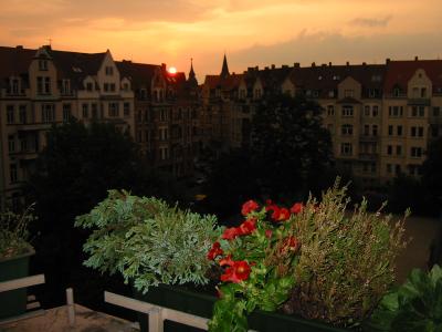 IMG_4399.JPG