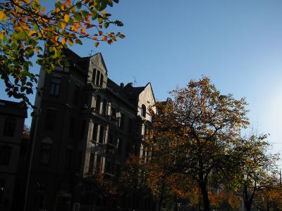 IMG_7045.JPG