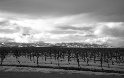 Near Morro Bay