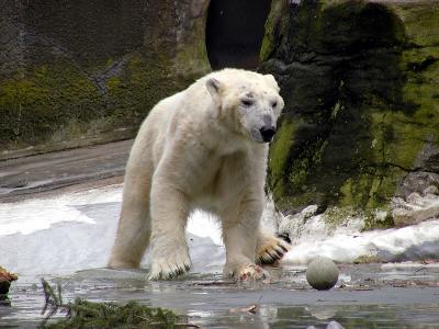 P2023358-3.jpg