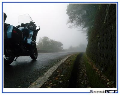 Spring breeze on the foggy road
