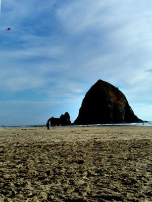 Cannon Beach_uzi2.jpg