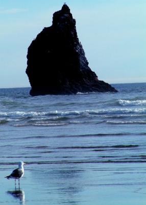 Cannon Beach_uzi4.jpg