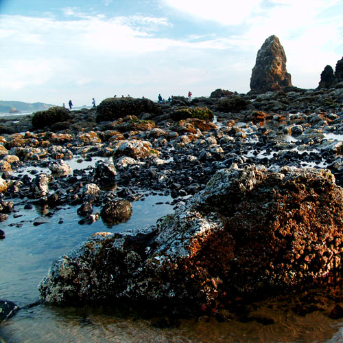 Cannon Beach2.jpg