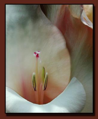 Light and Form.jpg