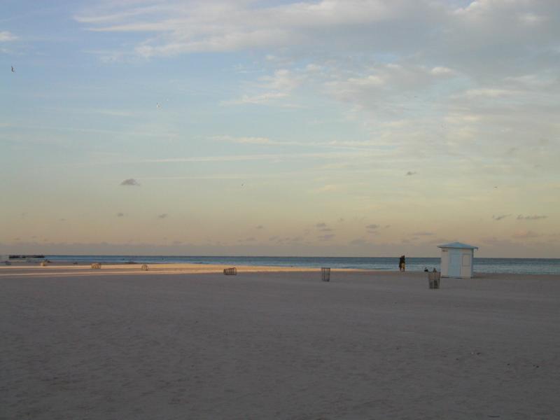 P1013589.JPG