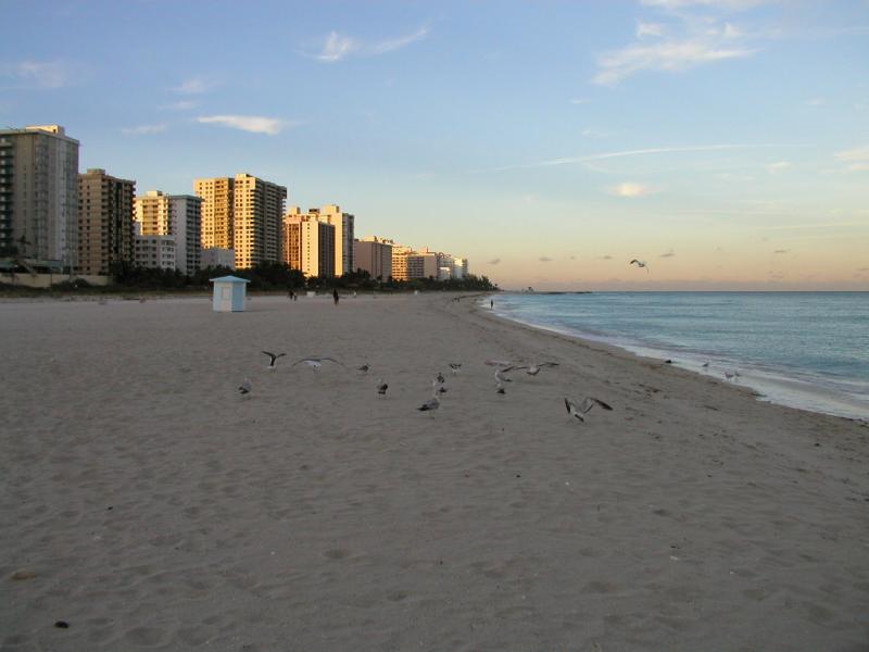 P1013602.JPG
