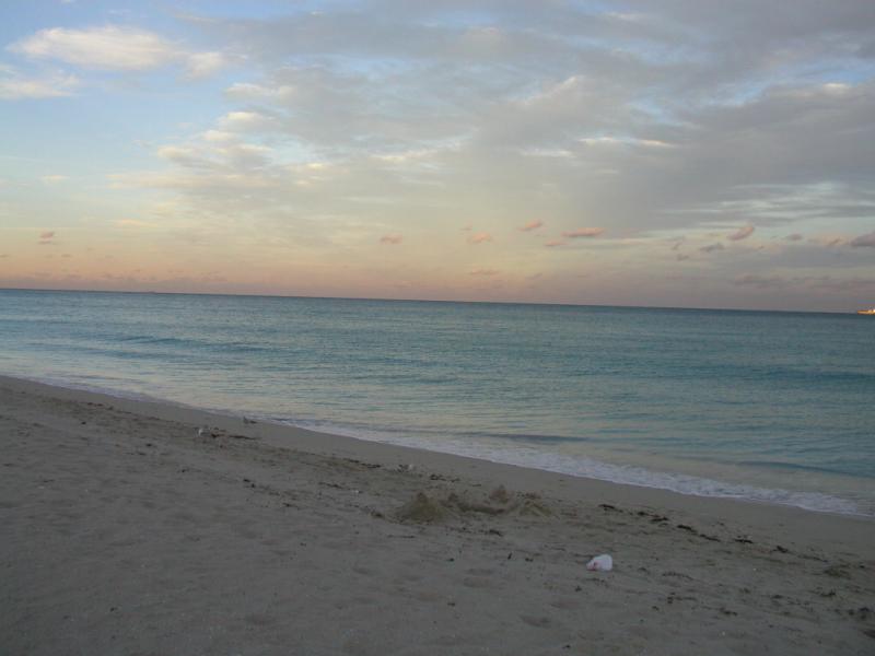 P1013604.JPG